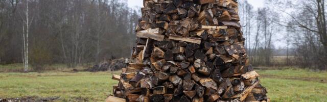 PUIDUHINNAD | Puiduturul valitseb osaline hinnalangus