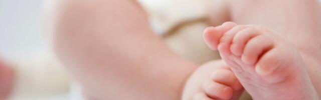 Eesti rahvaarv kahanes 7000 inimese võrra