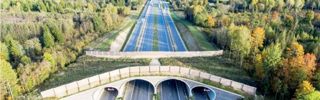 Aas: riik võiks neljarealised teed PPP asemel ise välja ehitada