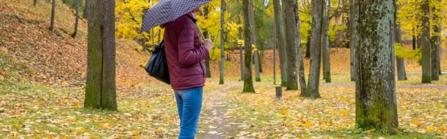 ILMAPROGNOOS | Vihm ei taha taanduda, ees ootab vaid üks kuivem päev