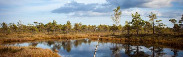 Turbaalad kui looduslik kaitse: uuenduslik lähenemine Euroopa julgeolekule