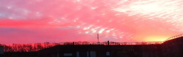 Ruslan Dontsov NÄDALA FOTO