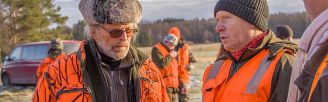 Vormsi hundid jäid küttimata