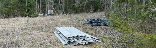 PILTUUDIS: kas tavaline vaatepilt looduses?