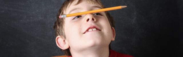 Concerta võõrkeelset partiid on oodata aprillis