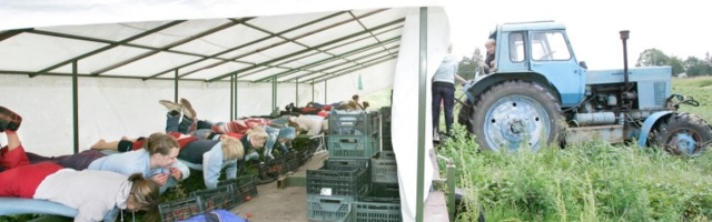 Põllumehed maaeluminister Allerile: kas valitsus ostab meilt kogu saagi, mis põllule jääb? Arve on 4,2 miljonit eurot