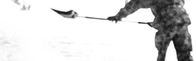 Fotolugu: Sõdurid ja esimene lumi