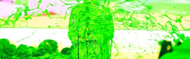 Mainekal Nickelodeon Kids’ Choice Awardsil triumfeeris tuntud Eesti youtuber