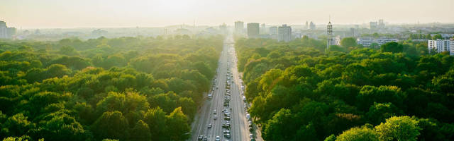 Maailma muutvad ideed: Puud peaksid olema osa linnade tervishoiu infrastruktuurist