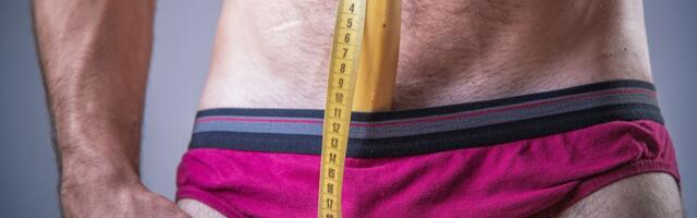 Seksiteadlane paljastas, kui pikka peenist naised tegelikult tahavad