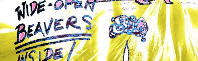 VULGAARANALÜÜS ⟩ Kui ropud inimesed me oleme?