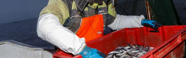 Kalapüügiandmete elektrooniline edastamine lükkub, et kalurid saaks "esitamise viisiga harjuda"