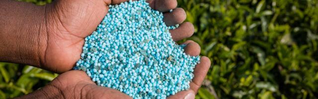 METK: nüüdisaegsed väetamissoovitused 22 põllukultuurile