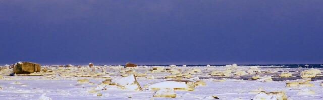 GALERII: rüsijää Randvere rannikul