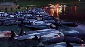 Looduse kõneisikud demokraatiaprotsessis