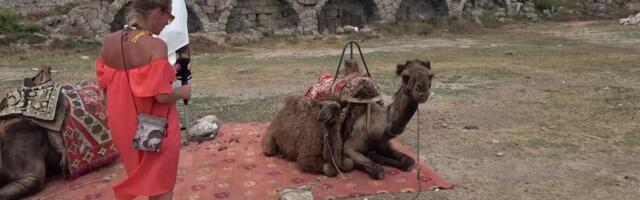 Türgi mees hoolitseb kõige eest! Naine nautigu lihtsalt elu