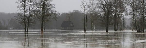 Halduskohus peatas osaliselt soostamistööd Kikepera looduskaitsealal