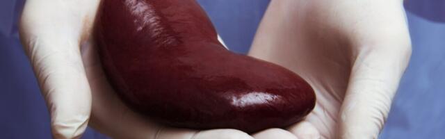 Krooniline neerupuudulikkus on aladiagnoositud