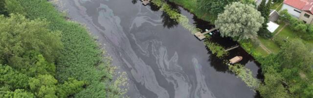 FOTOD | Pärnus Sauga jõel avastati ulatuslik reostus