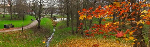 RUSLAN DONTSOVI GALERII: sügis Mõisapargis