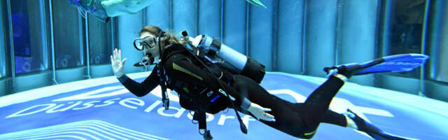 Väliskapital põgeneb uppuvalt laevalt