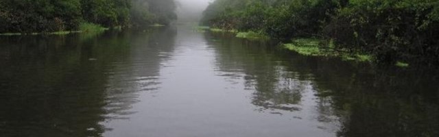 "Maa kopsud" veavad alt: Brasiilia Amazonase vihmamets tekitab juba on hakanud rohkem süsihappegaasi tootma kui siduma