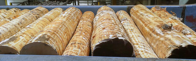 Stora Enso kaalub osa saeveskite müüki ning eraldab Rootsi metsaäri