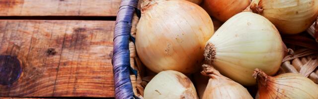Sibul haiguste vastu: tõhusad kodused võtted köha ja nohu leevendamiseks