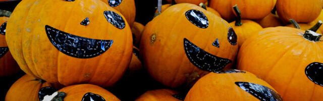 Хозяин хутора: в преддверии Хэллоуина тыквы смели с прилавков Пярнуского рынка