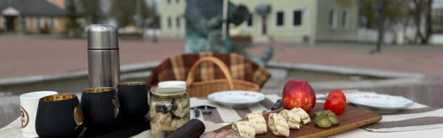 PIKA LAUA PIKNIKUL NAUDITAKSE HAPUKURGIHOOAEGA