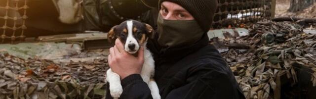 Teet Kalmus: kui droon on sind kord juba märganud, siis sisuliselt on see surmaotsus