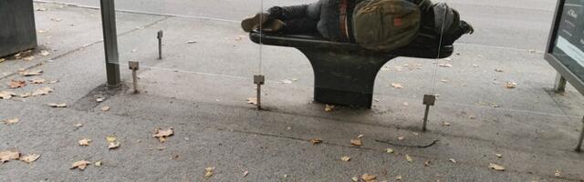 Sotsiaaltöötajate sõnul keelduvad mõned "tänavahundid" abist