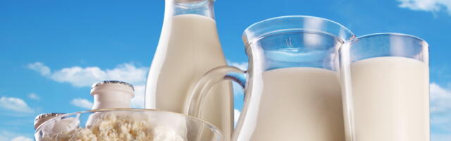 Piimatoodete hinnad langevad, kuid pöördumine tõusule võib tulla juba peagi