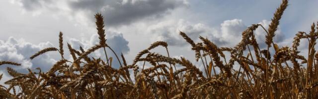 Palgaralli jätkumisel võime sattuda inetusse inflatsioonispiraali