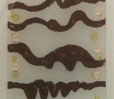 Naised elektroonilises muusikas