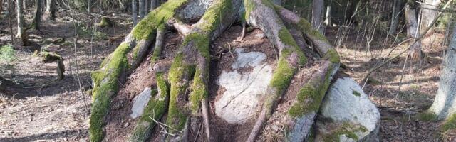 Pringi küla elanikud on valmis oma elukeskkonna säilimise eest võitlema