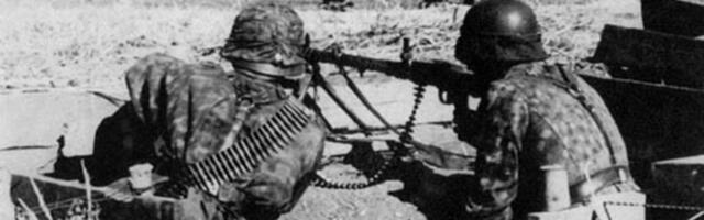 Ekspertiis Lihula ausambalt natsionaalsotsialistide sümboleid ei leidnud