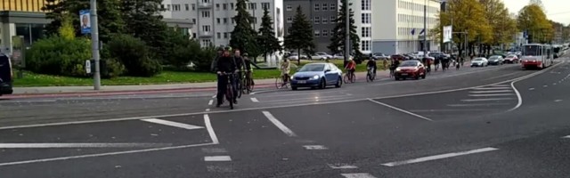 VIDEO | Enneolematu! Autojuht andis ratturitele teed. Kas Tallinna liikluskultuur on muutumas?