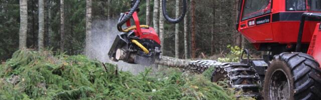 Kohtuotsus: Natura alale antud metsateatis eeldab keskkonnamõju hindamist