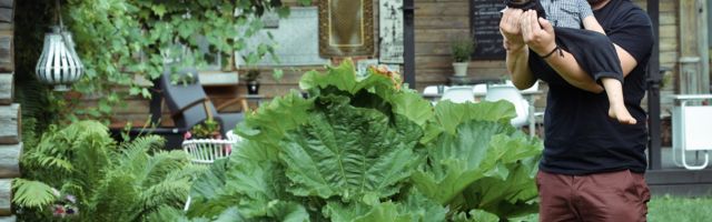 Raul Oreškin: loodus tuleb tuppa