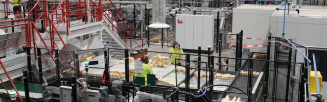 Tööstustoodangu tootjahinnaindeks langes aastaga