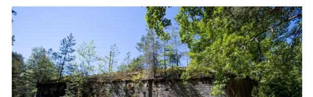 Delfi Ärileht: Naissaarel tuli korraga müüki 21 kinnistut