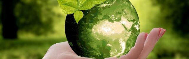 Teie sünnikuu paljastab isiksuseomadused