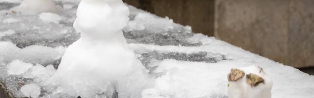 KUUPROGNOOS | Märtsi alguses on tunda veel talvist kargust, kuu teine pool toob muutusi