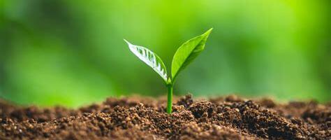 Kas selle maailma lõpp on käes ja saab alustada puhtalt lehelt?