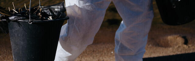 Põhjaranniku masuudireostuse taga on Ust-Luga naftarajatiste põleng