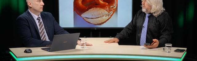 MEEDIAKRIITIKA ⟩ Koolikiusaja rollis ajakirjandus rivistub konservatiivse koalitsiooni vastu