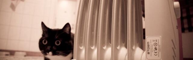 Tuleb keeruline talv. Kaks kolmandikku peresid peab küttekulude katteks kärpima muid kulusid