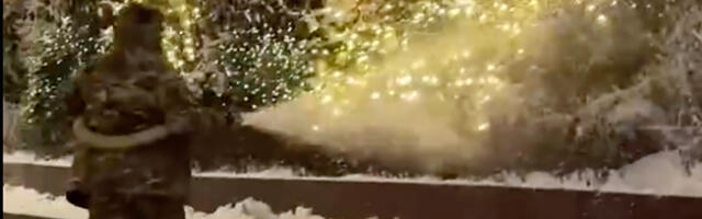 VIDEO: Moskvas hakati puid lumega katma