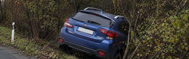 Delfi: Kelamite auto sõitis Püünsis põõsastesse
